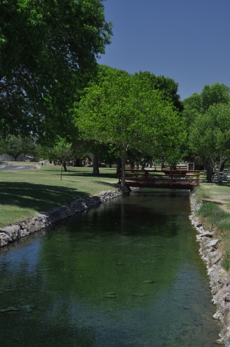 a canal leading to San Solomon Spring